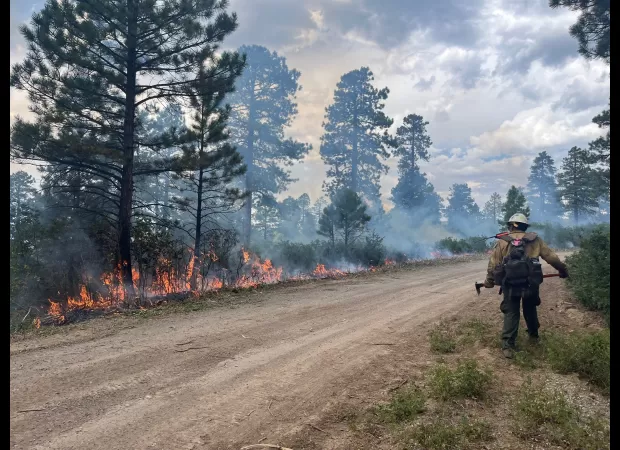 Bucktail fire in Montrose County now 60% contained - Colorado wildfire update