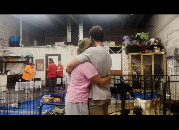 11 puppies exposed to rabies during adoption event in Sheridan; owners saddened by euthanasia decision