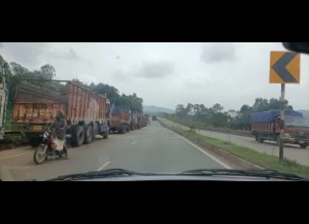 Parking trucks illegally endangers elephants and commuters.