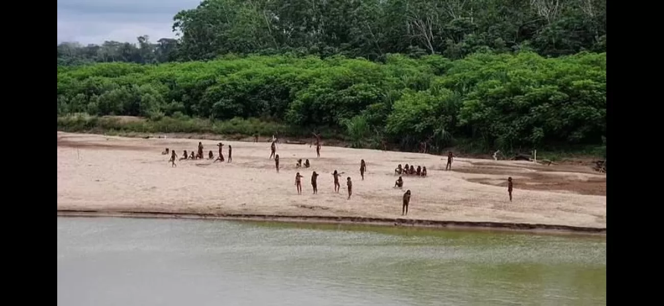 Amazonian tribe resists loggers entering their territory by shooting arrows