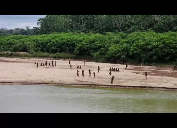 Amazonian tribe resists loggers entering their territory by shooting arrows