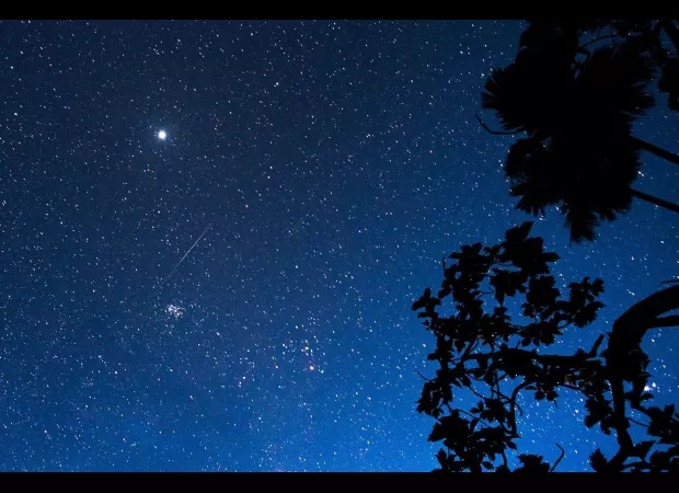 Meteor shower expected to light up the sky in highly anticipated display.