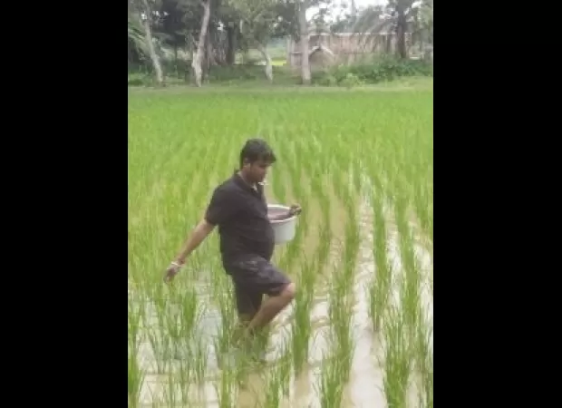 ICAR-NRRI creates bacteria to help fight climate change.