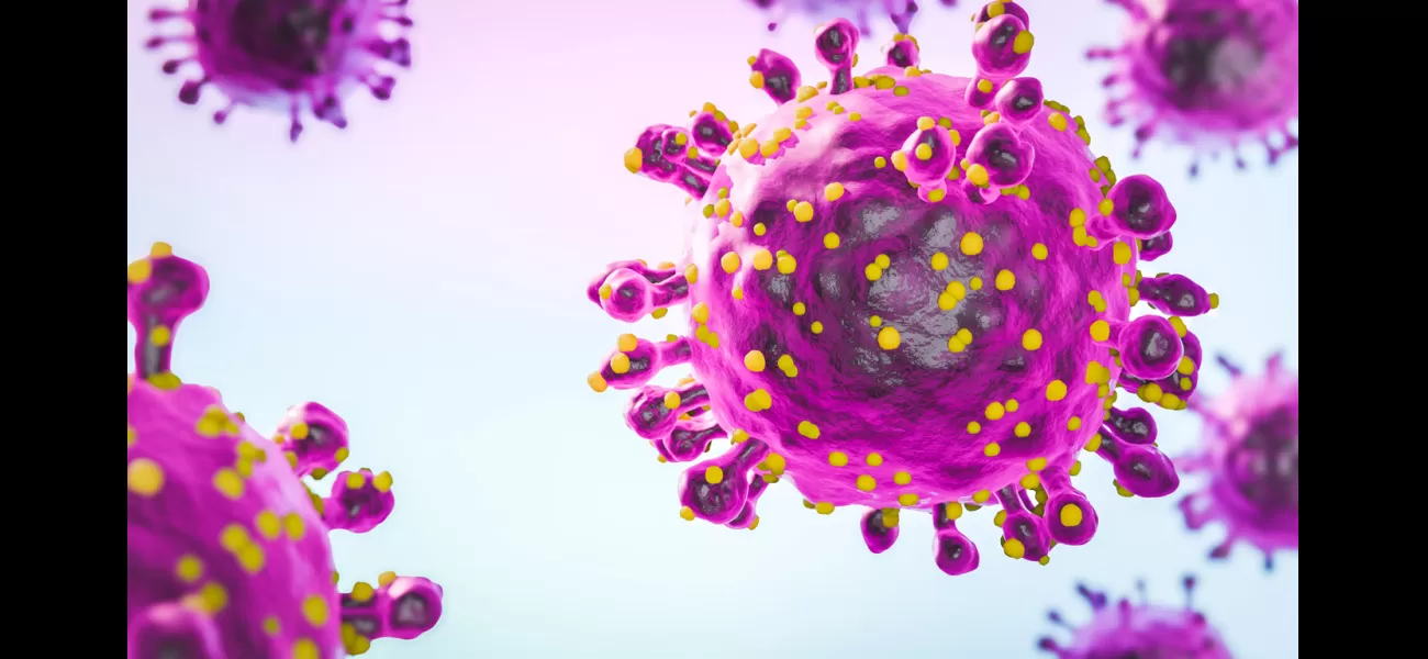 A virus similar to Zika has been found in Europe for the first time.