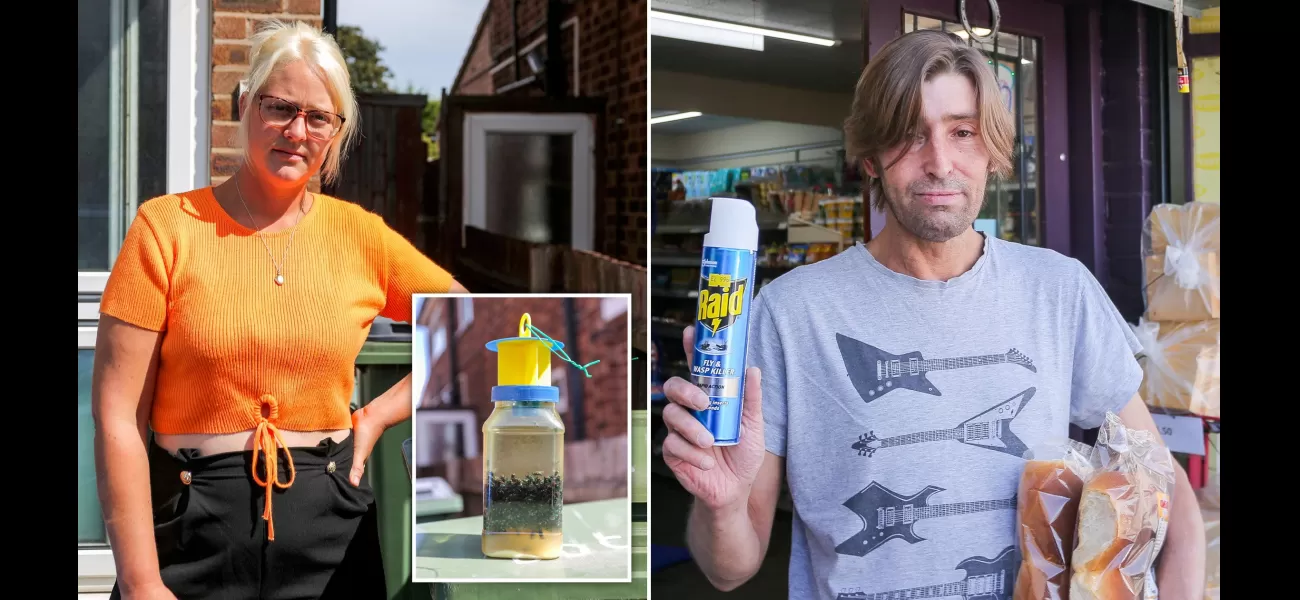 Village plagued by swarms of flies, making life unbearable for residents.