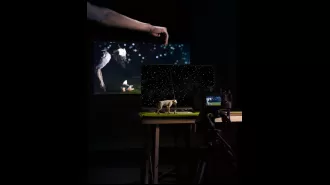 Review of Bark Bark at the Fringe Festival.