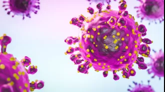 A virus similar to Zika has been found in Europe for the first time.