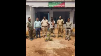 A young person arrested for selling rare parrots.
