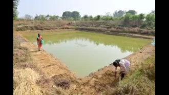 OMBADC is striving to enhance crop cultivation through a new program.