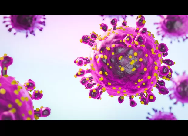 A virus similar to Zika has been found in Europe for the first time.