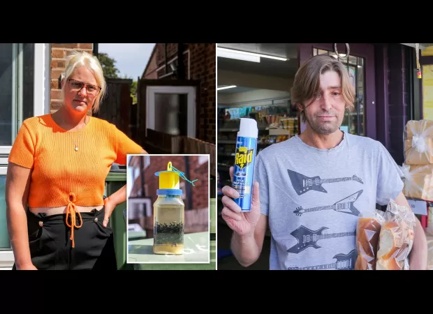 Village plagued by swarms of flies, making life unbearable for residents.