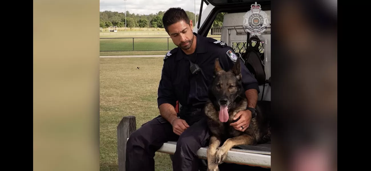 Police dog Kaos, who had recovered from being stabbed, has died.