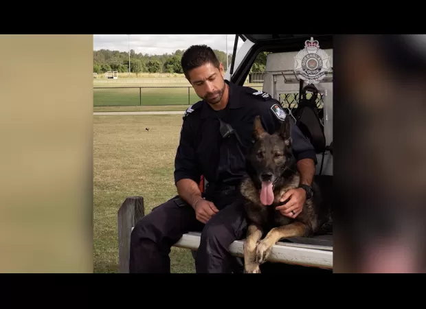 Police dog Kaos, who had recovered from being stabbed, has died.