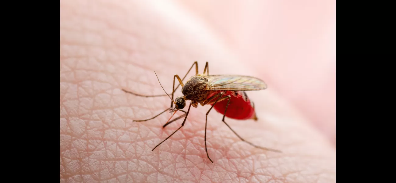 Why are some individuals more prone to insect bites than others?
