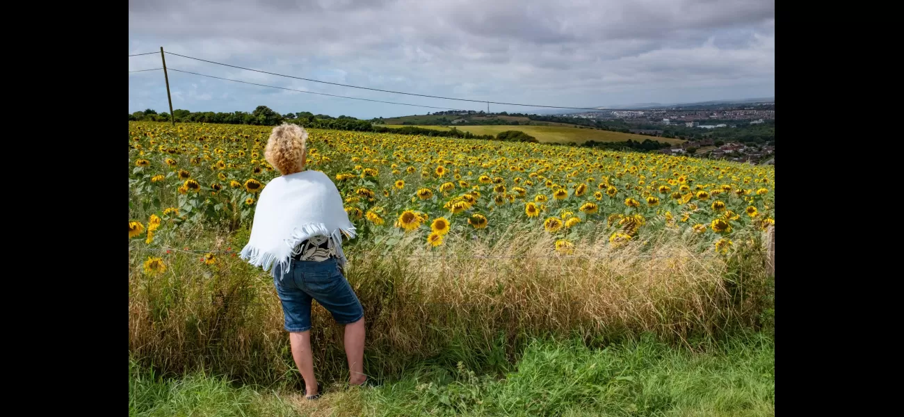British weather is variable today, but summer is not finished yet.