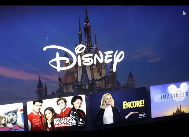 Lawsuit against Disney for wrongful death serves as caution to consumers who click 'I agree'.