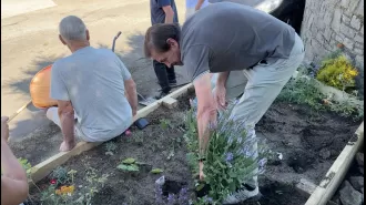 Angry man destroys flowers in village after dispute with neighbor intensifies.