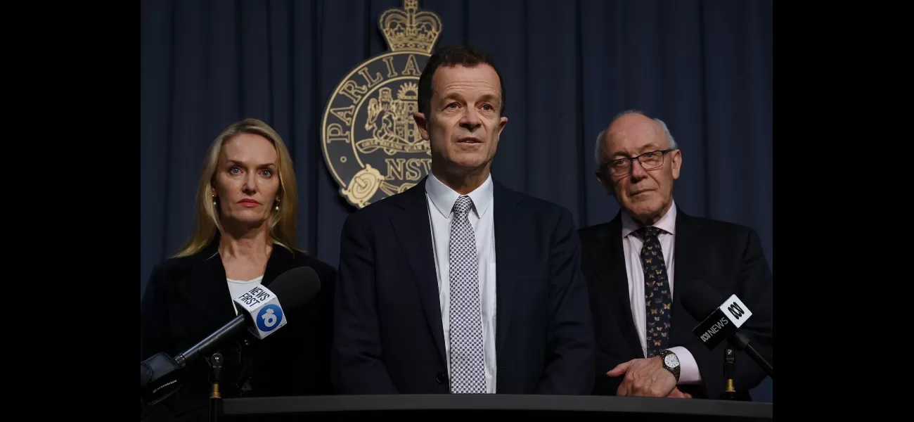 The Liberal Party in New South Wales was denied an extension after their nomination process for local council members went awry.