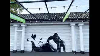 Banksy expert claims London pieces are like a live version of Pokémon.