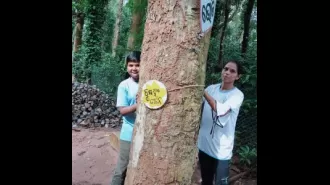 Children in Odisha's Kandhamal district are tying rakhis on trees to raise awareness and protect the environment.