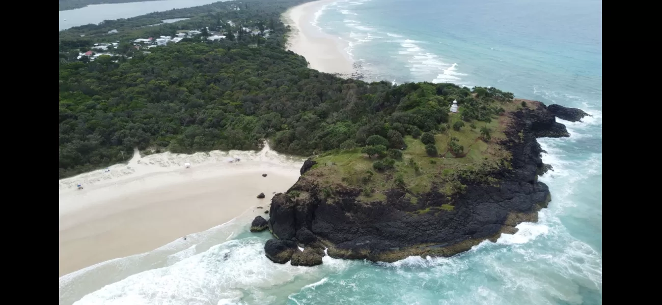 A man was rendered unconscious when a whale struck his boat near the Queensland coast.