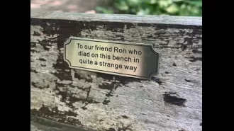 Can you unravel the enigma of this spooky bench in the park?