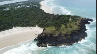 A man was rendered unconscious when a whale struck his boat near the Queensland coast.