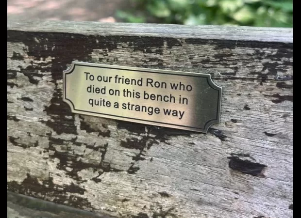 Can you unravel the enigma of this spooky bench in the park?