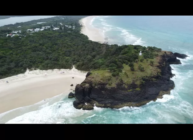 A man was rendered unconscious when a whale struck his boat near the Queensland coast.