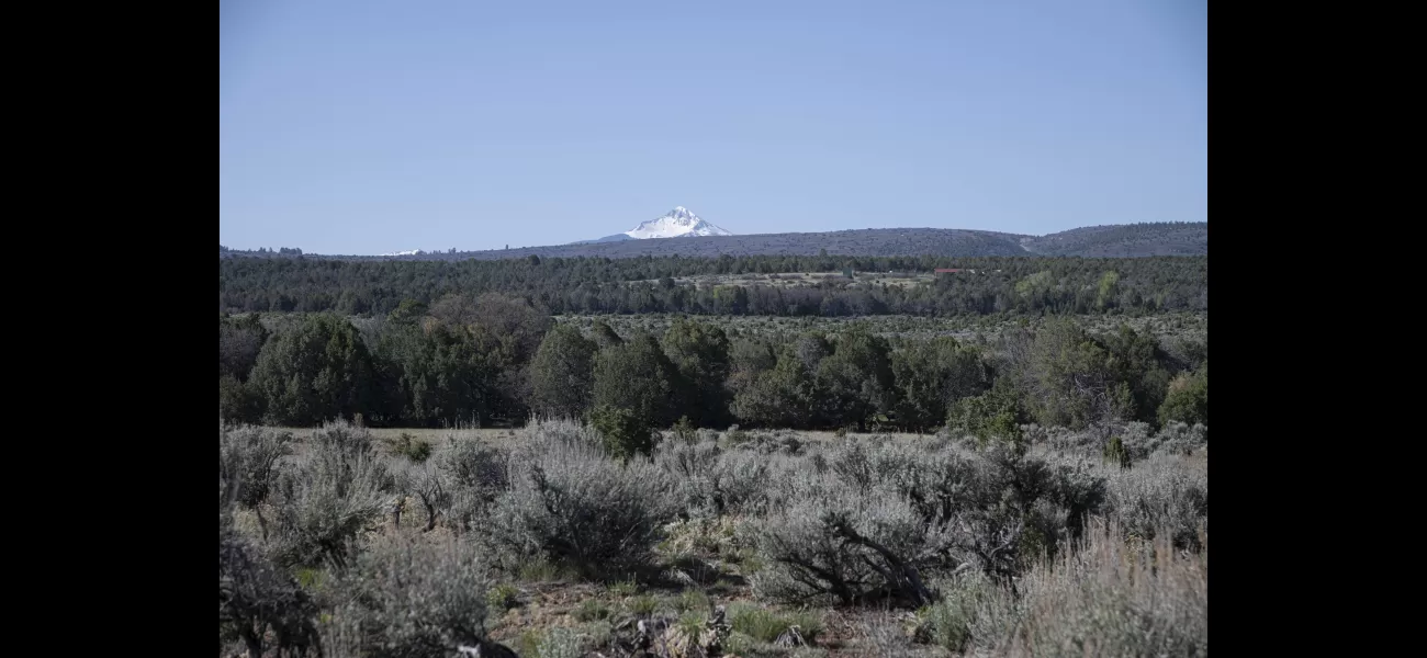 Woman missing in Colorado wilderness for 4 days found alive during spiritual journey.