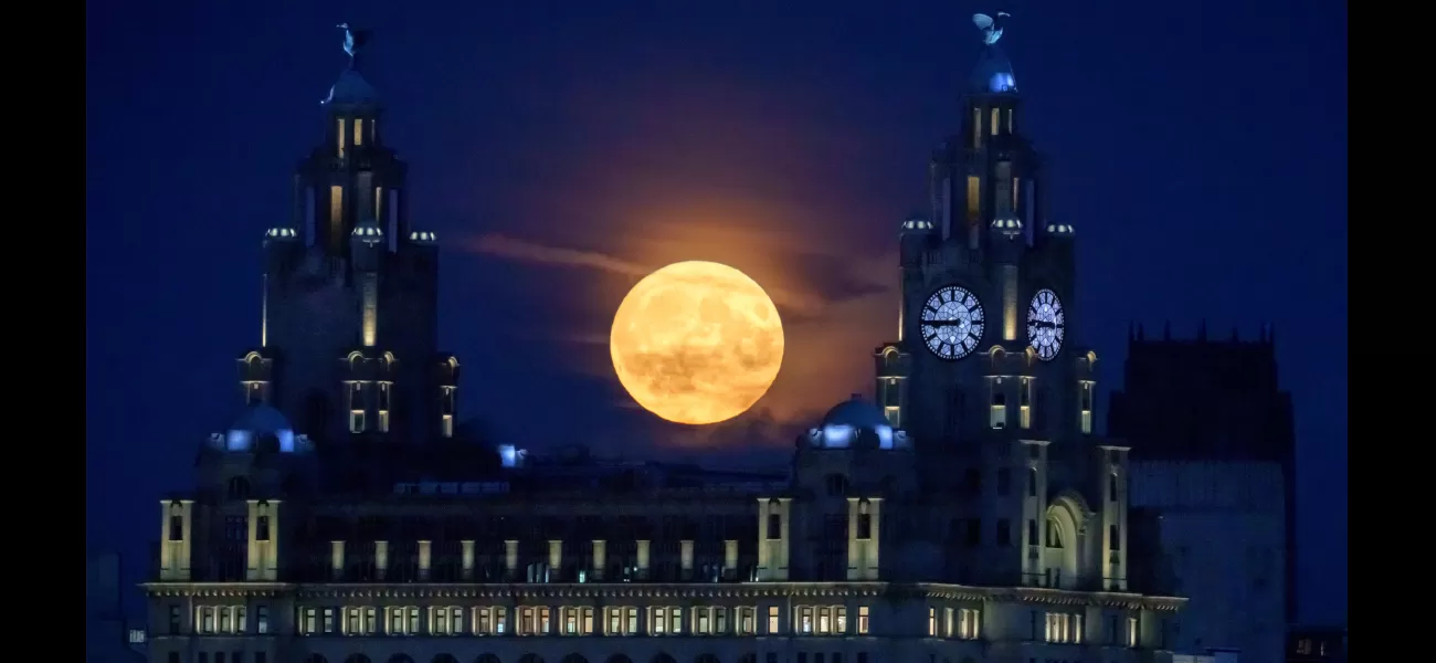 Tips for viewing the rare blue supermoon tonight.