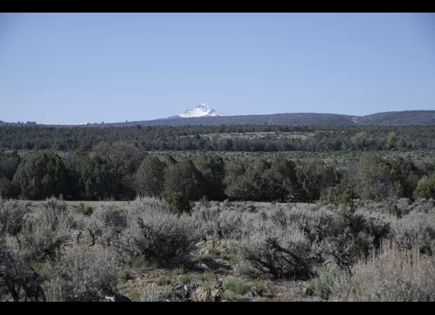 Woman missing in Colorado wilderness for 4 days on a spiritual journey has been found alive.