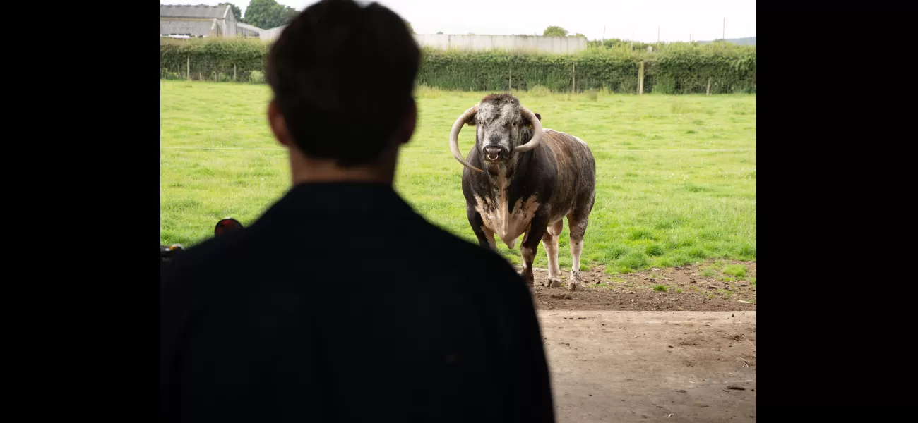 Emmerdale's new plotline is totally ridiculous!