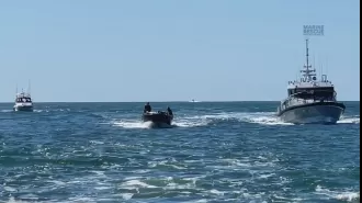 A fisherman was hospitalized after being struck by a whale off the Gold Coast.