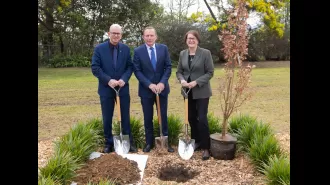 Tony Abbott's planted tree was vandalized again.