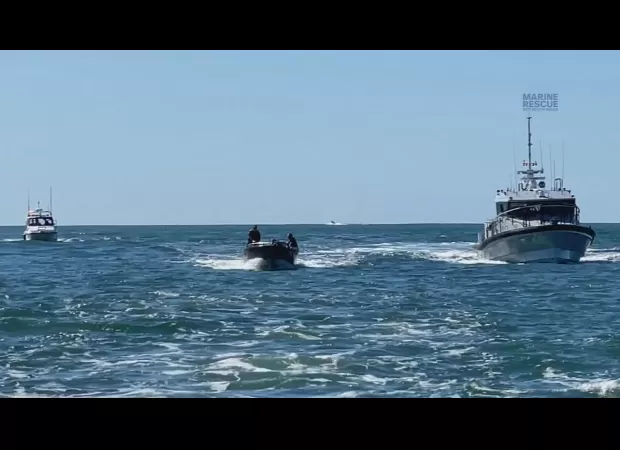 A fisherman was hospitalized after being struck by a whale off the Gold Coast.
