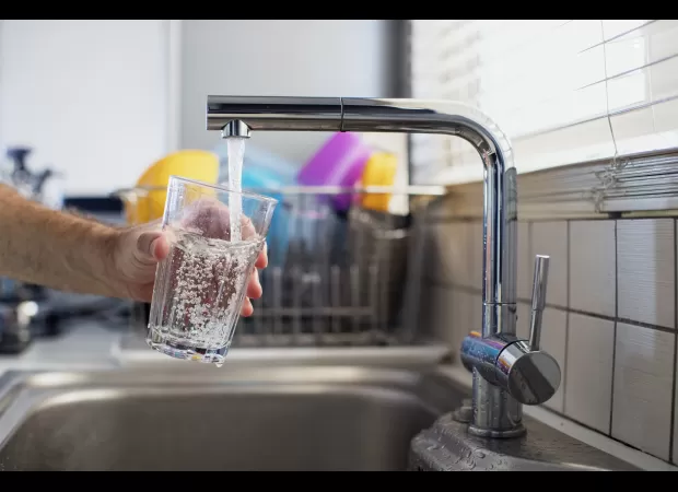 Sydney Water has confirmed that drinking water contains harmful 