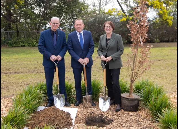 Tony Abbott's planted tree was vandalized again.