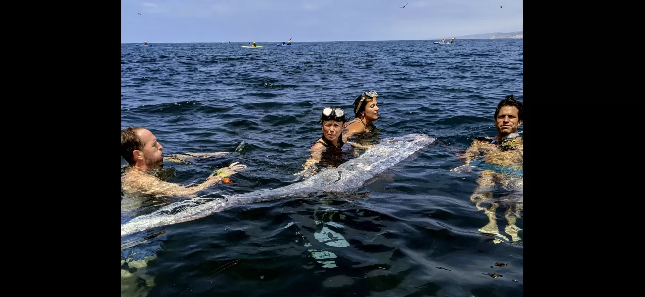 Snorkelers and kayakers discovered a dead 'Doomsday fish' in the ocean.