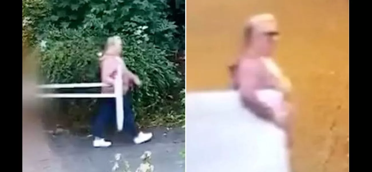 Repeat offender caught illegally dumping trash in public nine times.