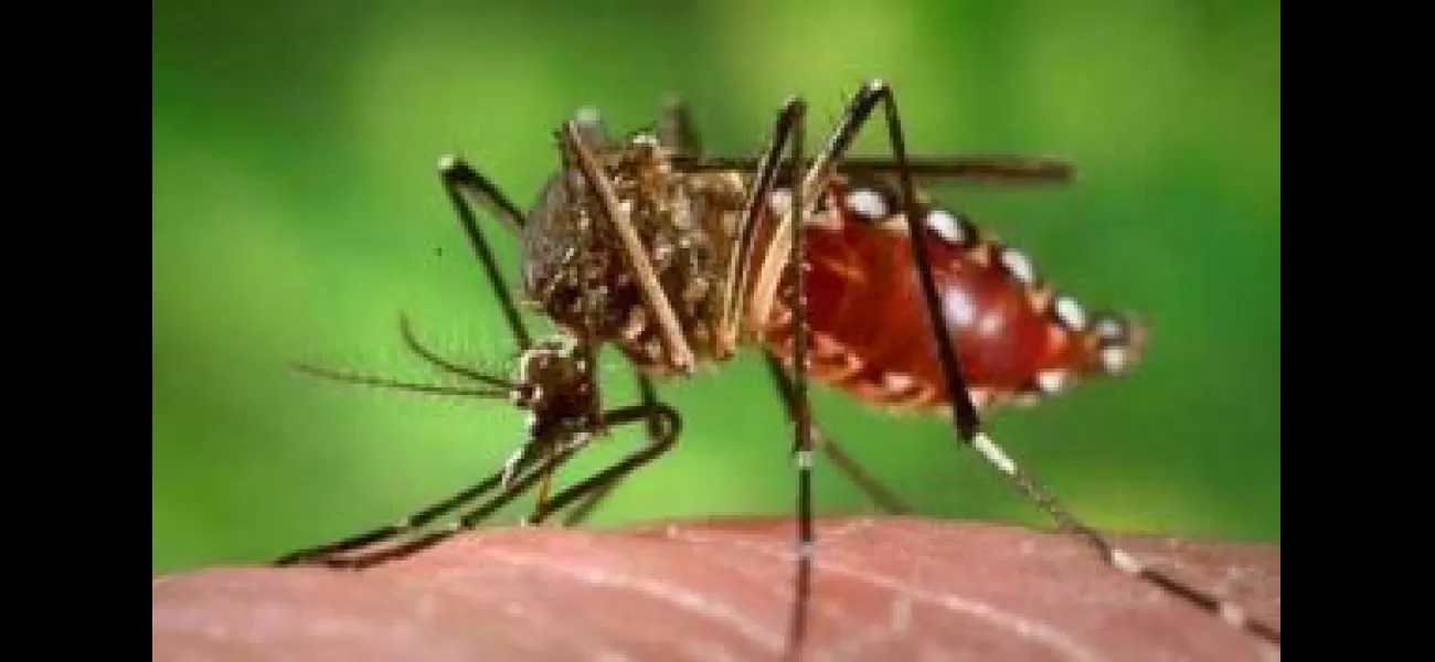 Rourkela witnessing increase in dengue cases.