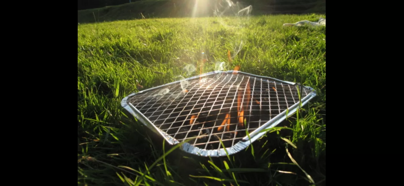 8 unusual foods you can grill that you may not have considered.