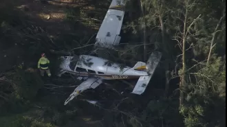 No one was hurt after a small plane crashed in a park in Sydney, with both the pilot and passenger escaping unharmed.