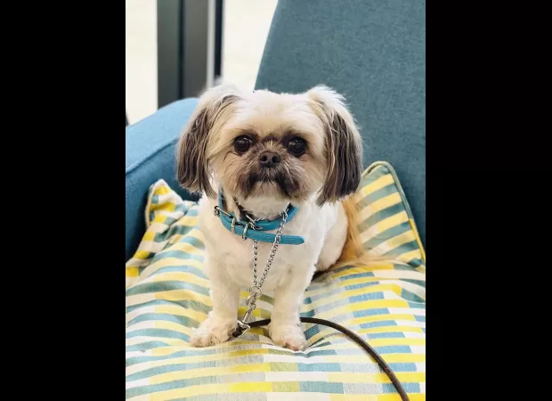 Surprising turn of events as Emmerdale resurrects fan-favorite character.