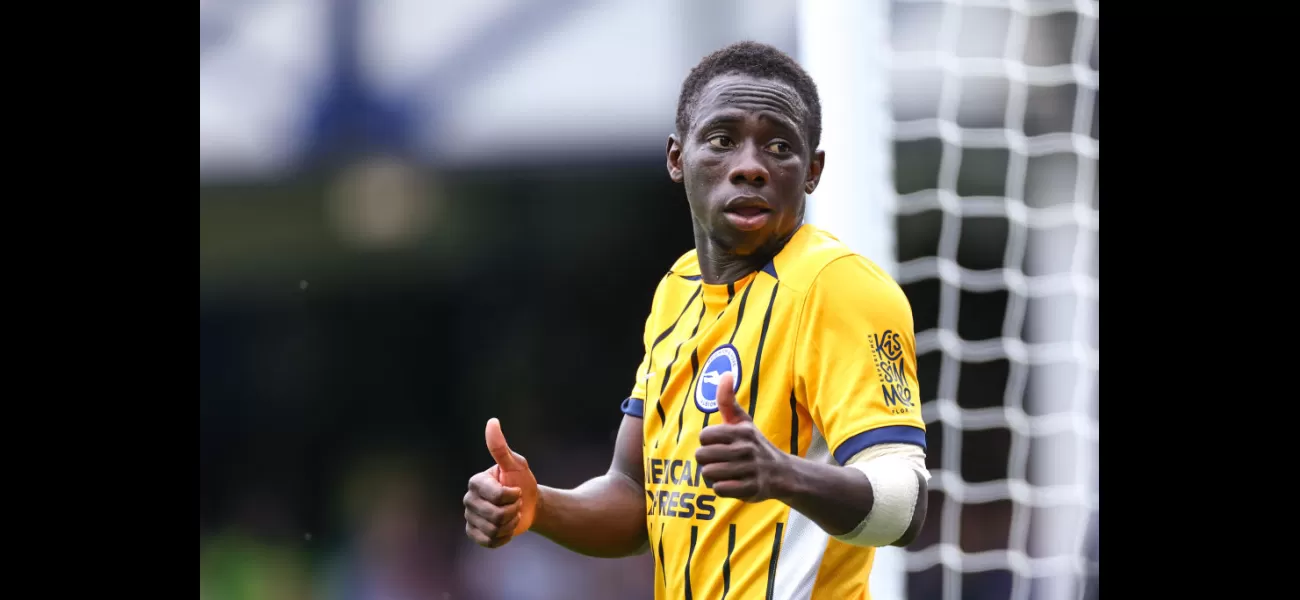 Brighton manager Fabian Hurzeler updates on injuries to Yankuba Minteh, Pervis Estupinan, and Evan Ferguson.