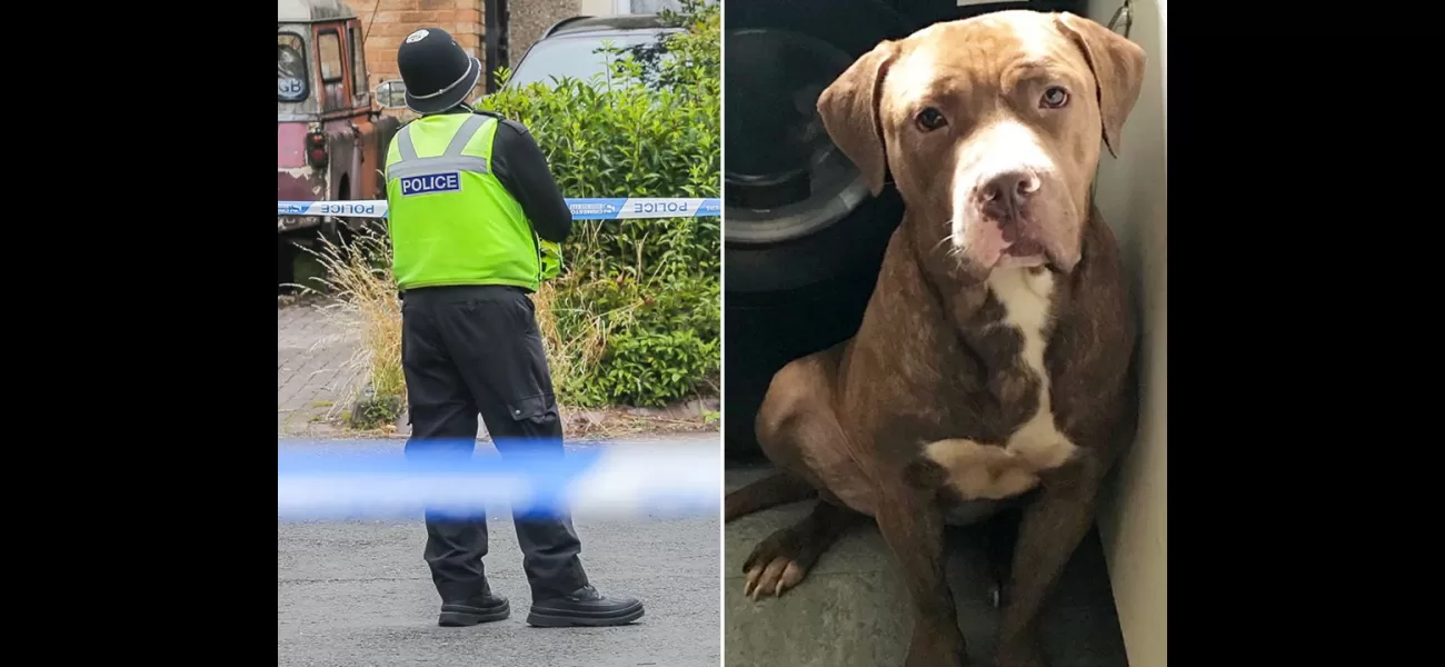 Authorities are searching for two dogs following a man's death in his garden, suspected to be caused by a dog attack.