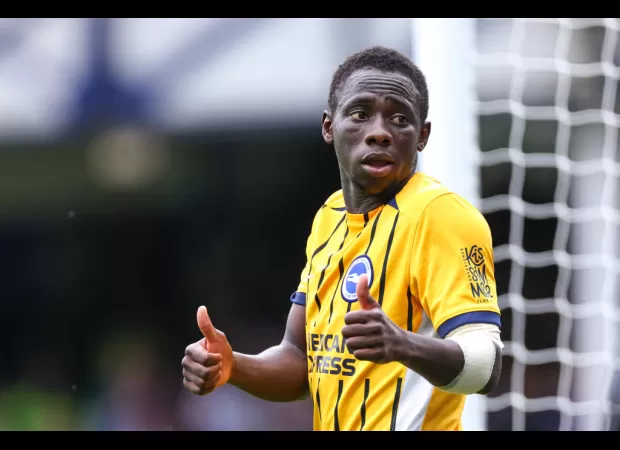 Brighton manager Fabian Hurzeler updates on injuries to Yankuba Minteh, Pervis Estupinan, and Evan Ferguson.