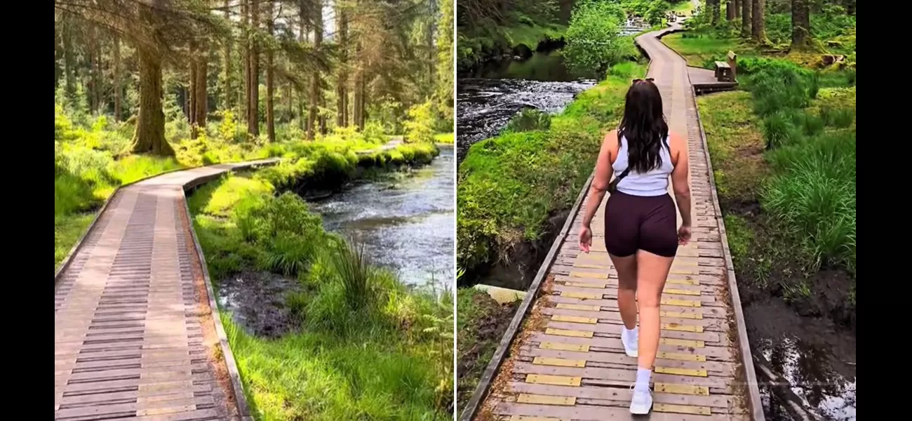 People think this beautiful forest resembles Canada or Alaska, but it's located in the UK and doesn't cost a thing.