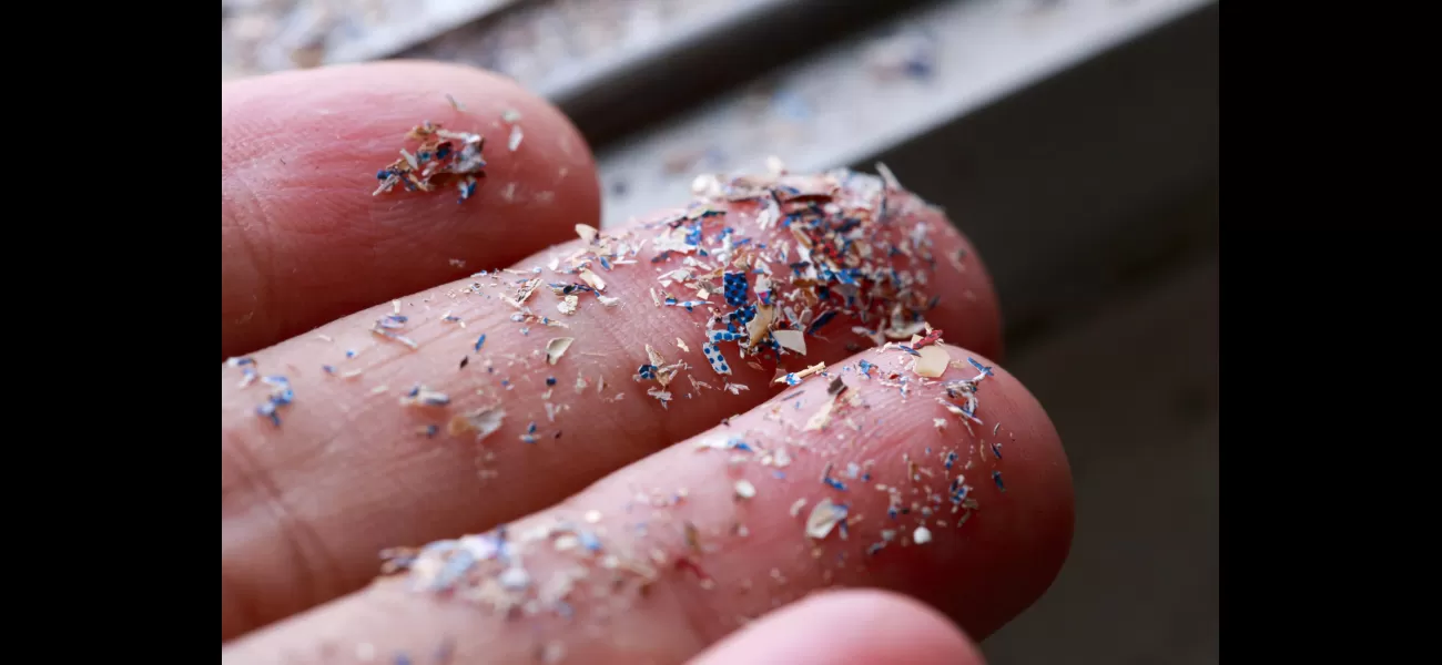 Tiny plastic particles in the brain may be connected to the increasing prevalence of Alzheimer's disease.