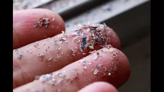 Tiny plastic particles in the brain may be connected to the increasing prevalence of Alzheimer's disease.